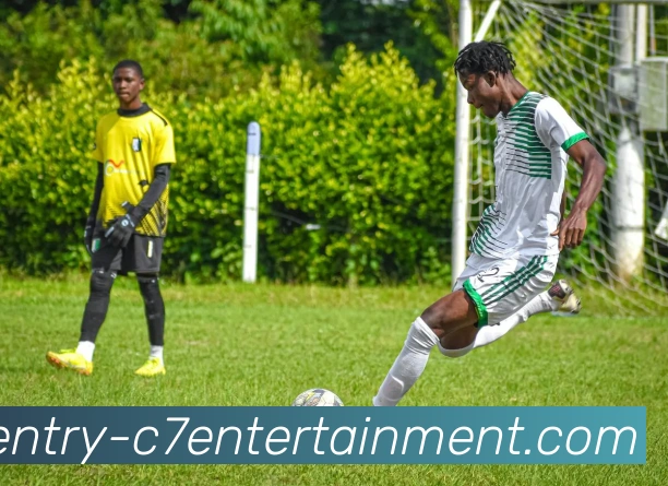 App Interface Preview